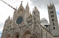 Siena 18